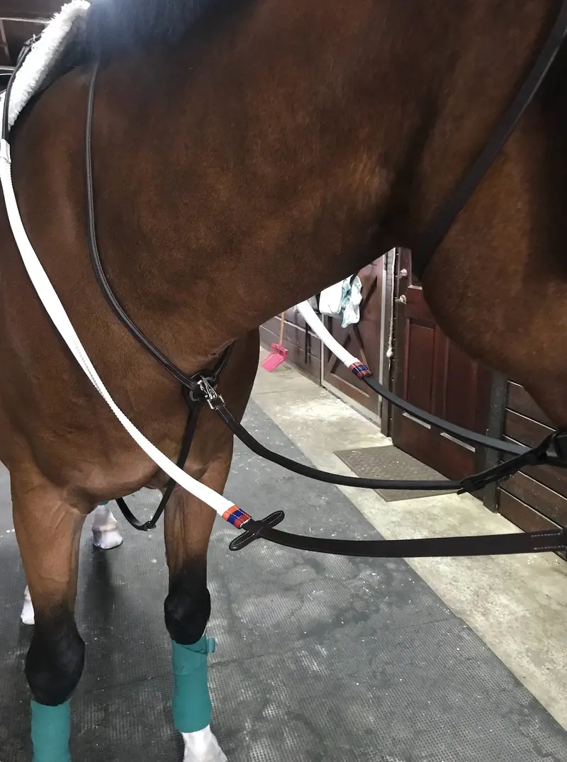 Dziasport Standing Martingale Attachment 1