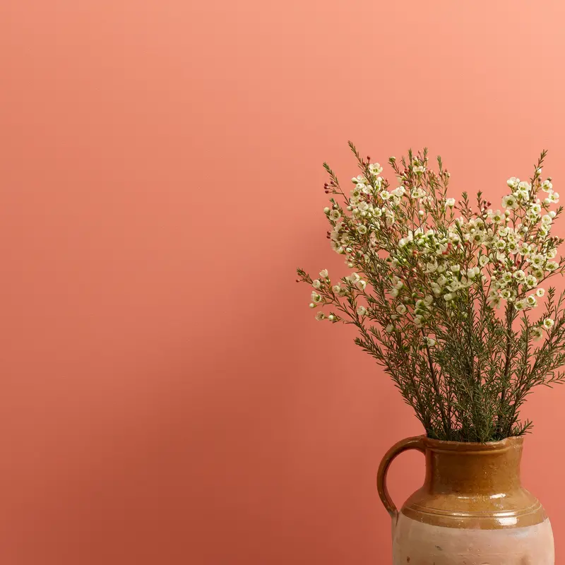 Earthy Trim Paint 2
