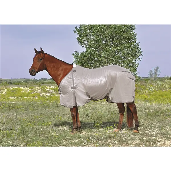 Econo Fly Sheet 1