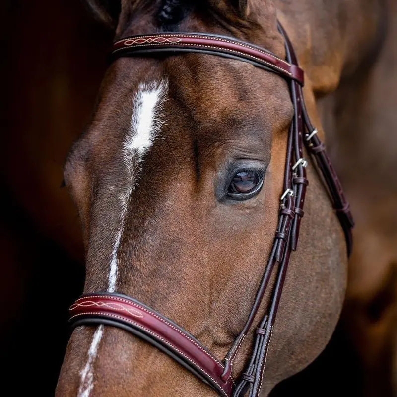 Edgewood 1" Fancy Raised Padded Bridle 1