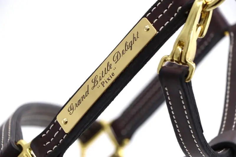 Elegant Halter Nameplate 2