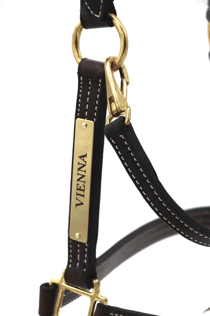 Elegant Halter Nameplate 5