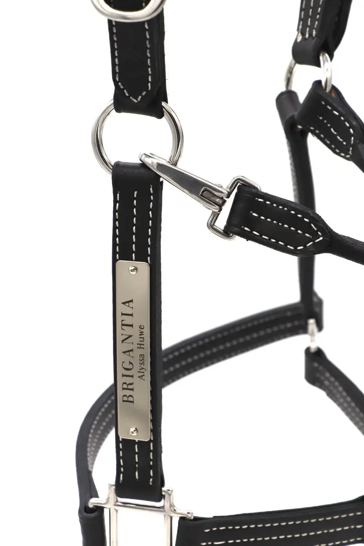 Elegant Halter Nameplate 6