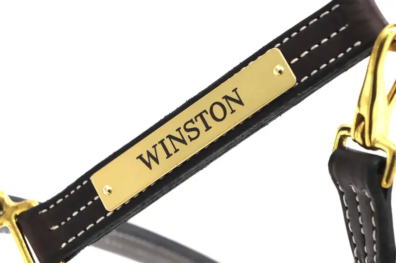 Elegant Halter Nameplate 7