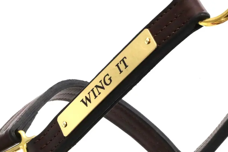 Elegant Halter Nameplate 8