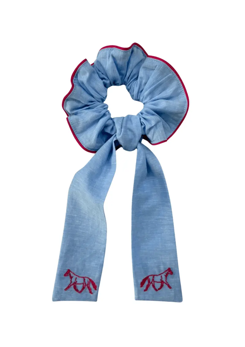 Embroidered Scarf Hair Scrunchie | Blue & Red 1