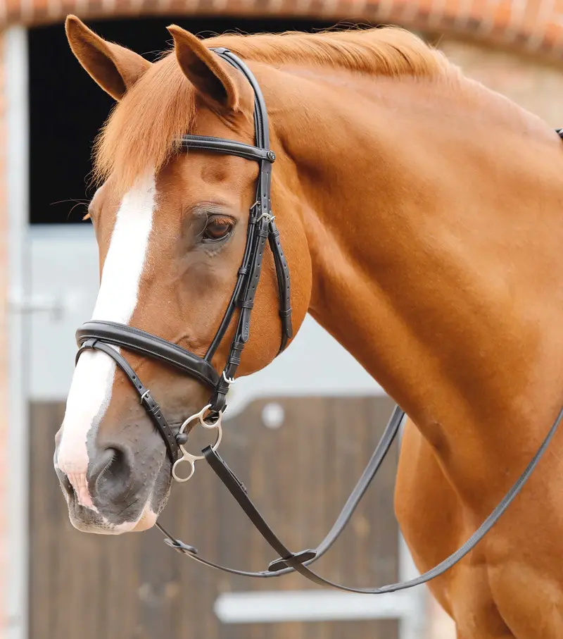 End Of Line - Delizioso Snaffle Bridle 1