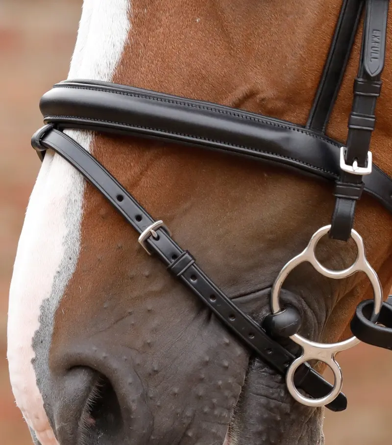 End Of Line - Delizioso Snaffle Bridle 2