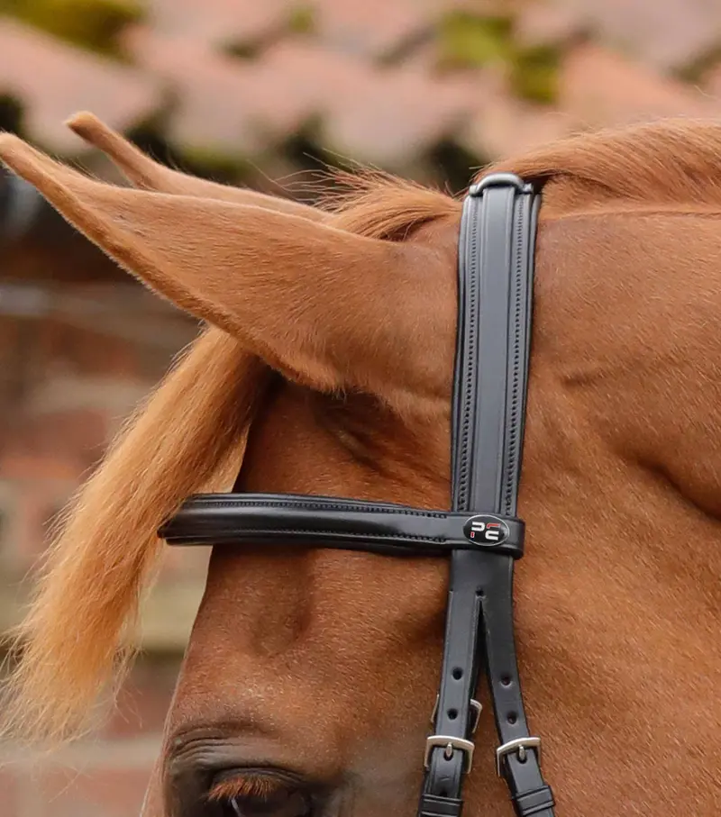 End Of Line - Delizioso Snaffle Bridle 3