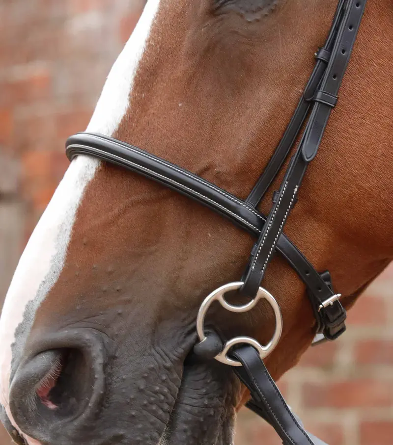 End Of Line - Mossimo Cavesson Bridle 2