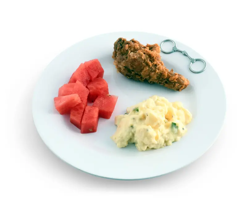 Equestrian Bit Melamine Lunch Plates - Set Of 4 2