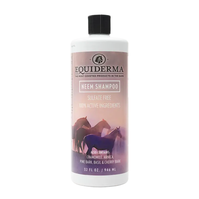Equiderma Aloe And Neem Shampoo 1