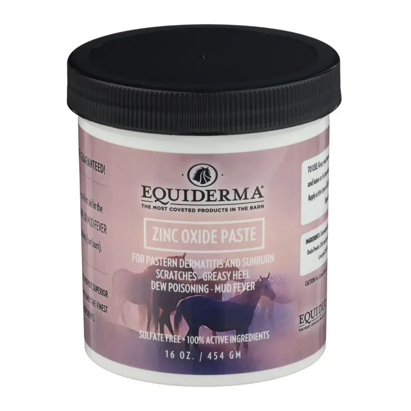 Equiderma Zinc Oxide Paste 1
