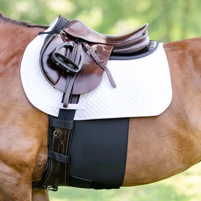 Equifit Belly Band + 1