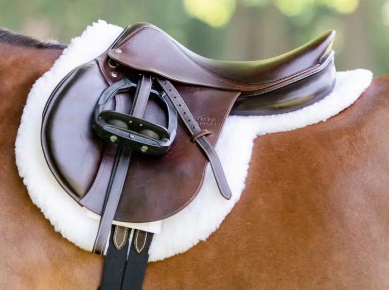 Equifit Essential Hunter Pad 1