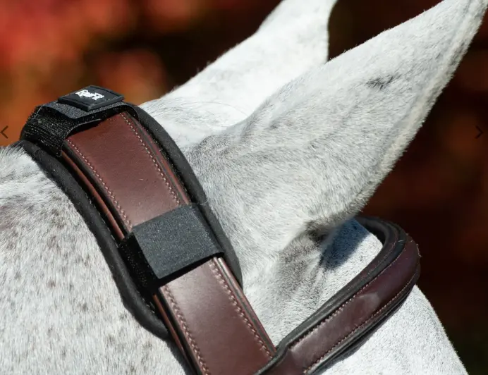 Equifit Impacteq Crown Pad 1