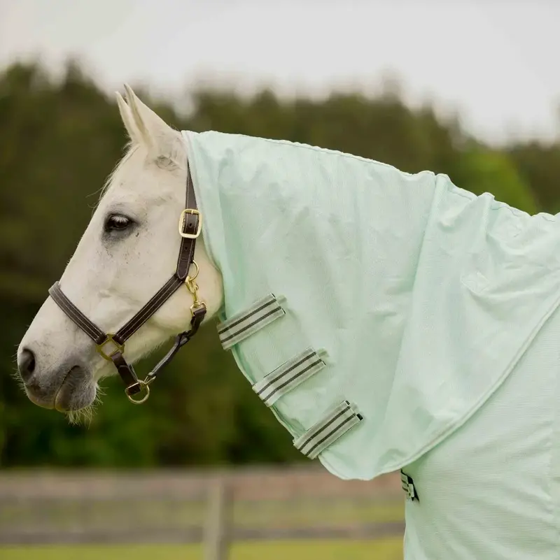 Equinavia Brisk Fly Sheet With Detachable Neck 2