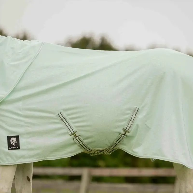 Equinavia Brisk Fly Sheet With Detachable Neck 3