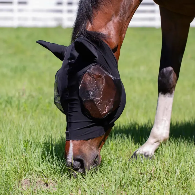 Equinavia Bug Out Fly Mask 1