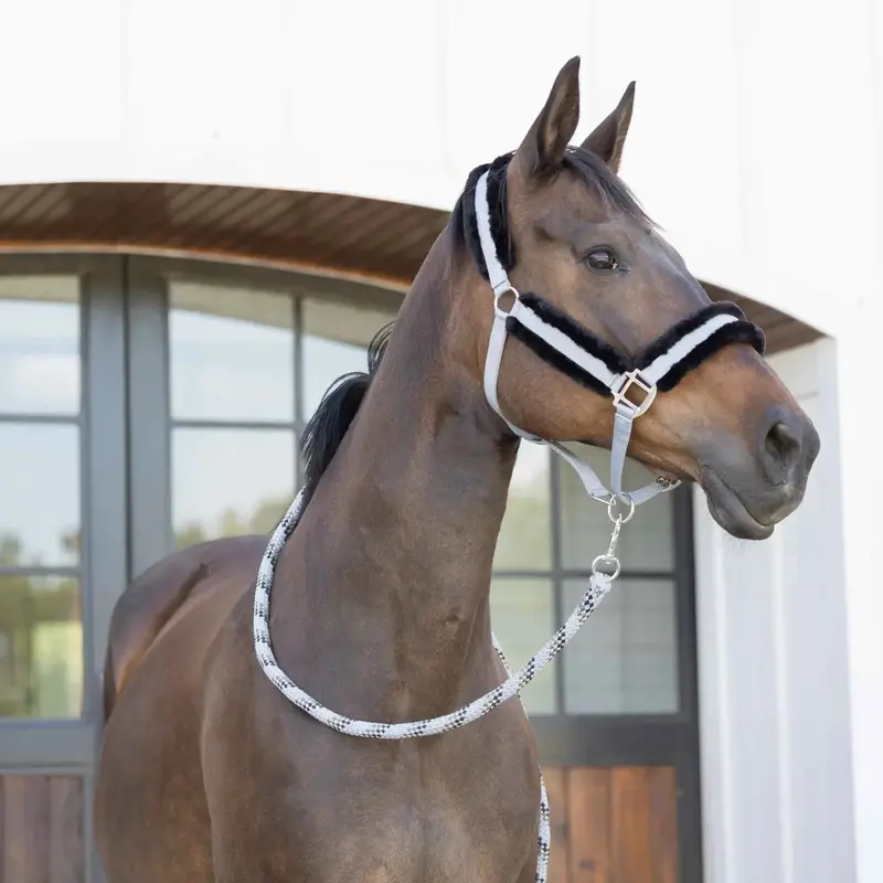 Equinavia Iris Soft Lead With Snap 1