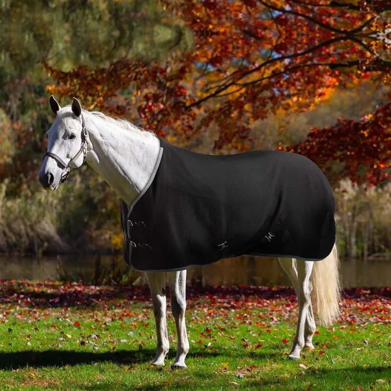 Equinavia Luftig Waffle Cooler 1