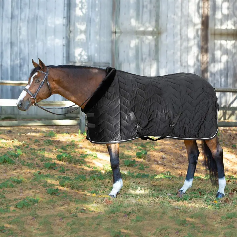 Equinavia Luksus Premium Cooler 1
