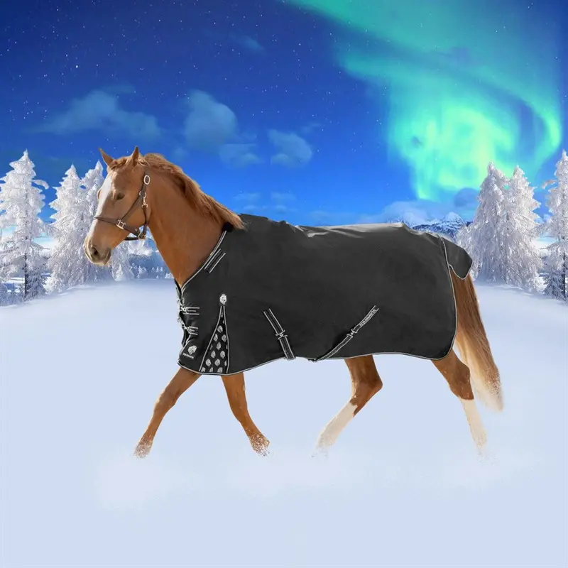 Equinavia Norse Turnout 1
