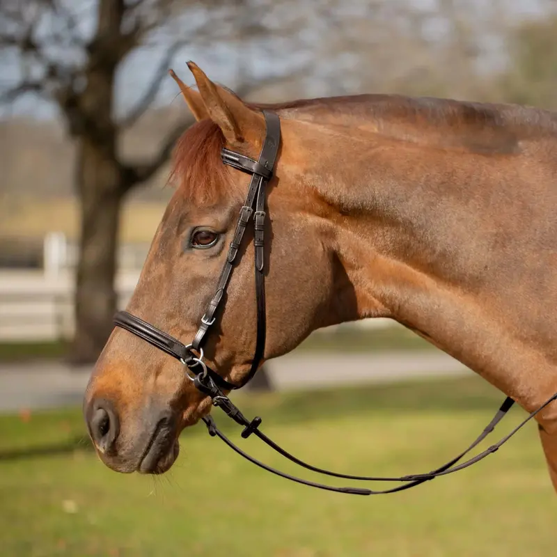 Equinavia Saga Bitless Bridle 1