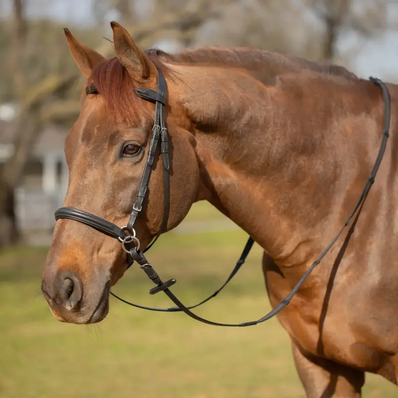 Equinavia Saga Bitless Bridle 3