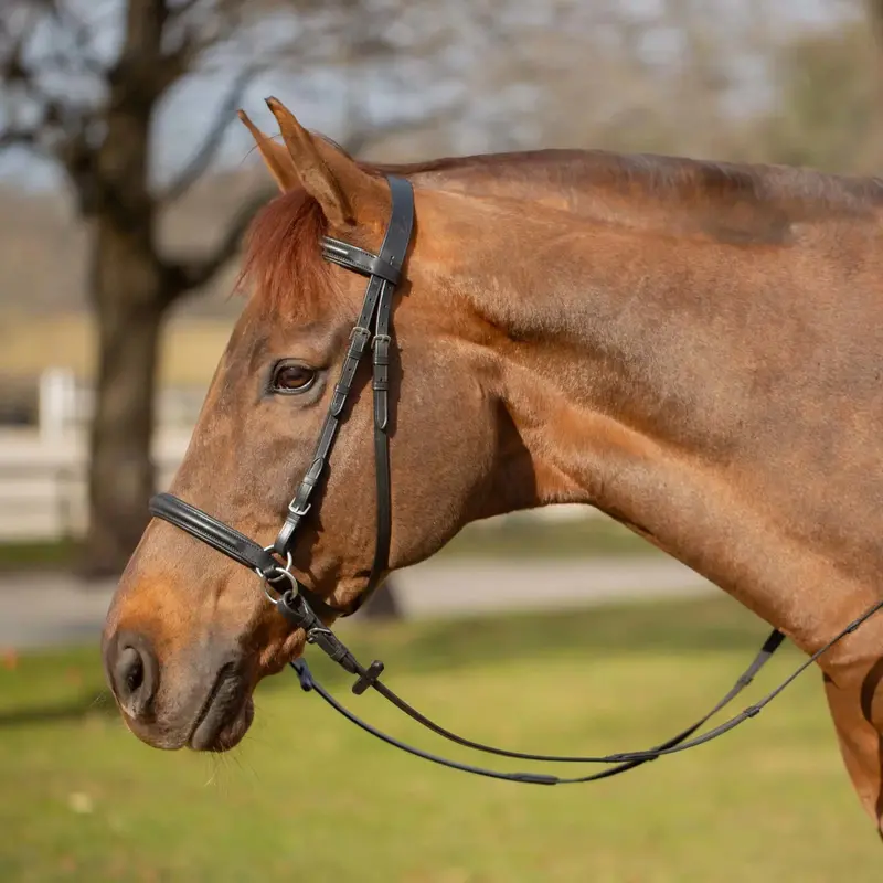 Equinavia Saga Bitless Bridle 4