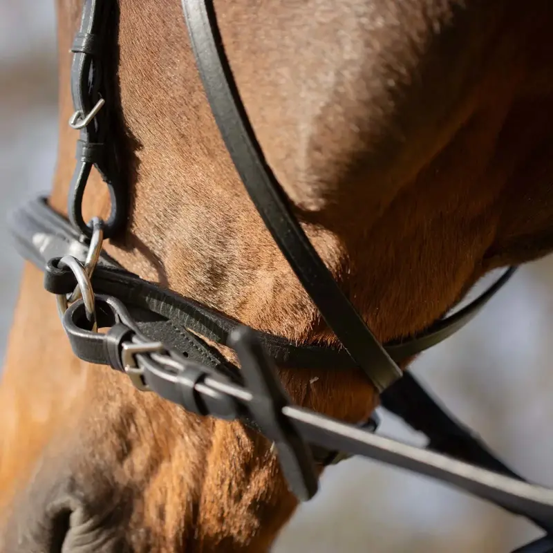 Equinavia Saga Bitless Bridle 5