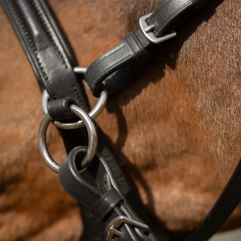 Equinavia Saga Bitless Bridle 6