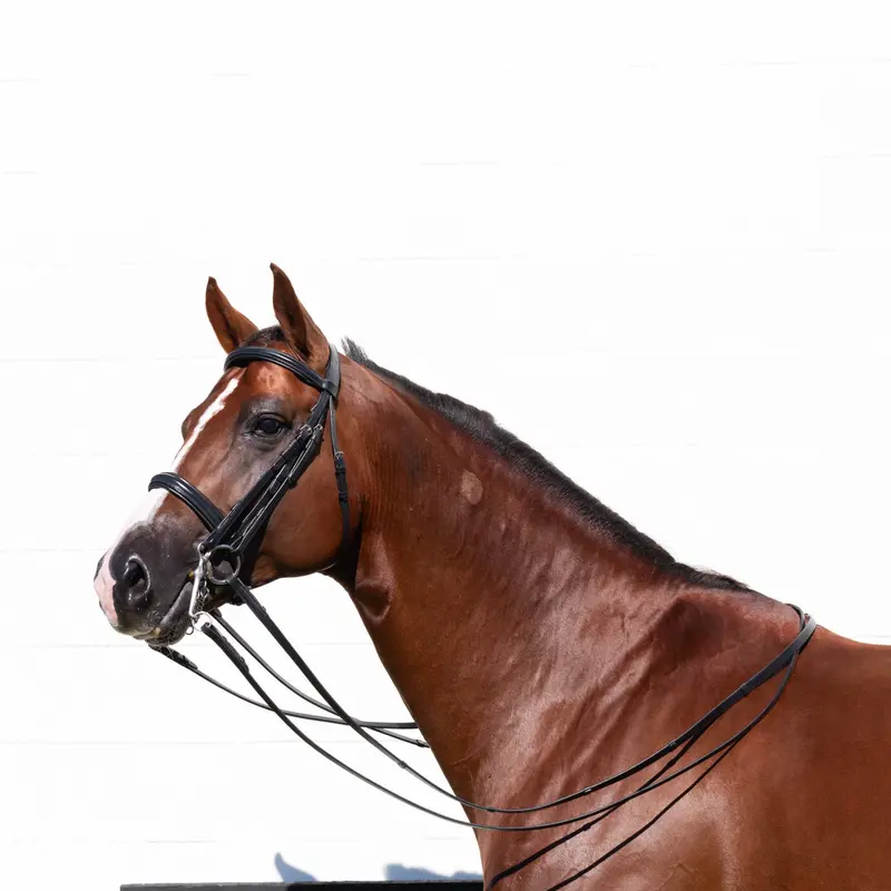 Equinavia Saga Double Bridle With Reins 1