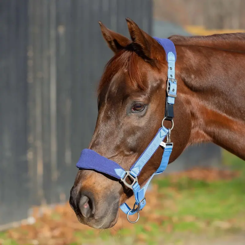 Equinavia Saga Fleece Padded Breakaway Halter 1