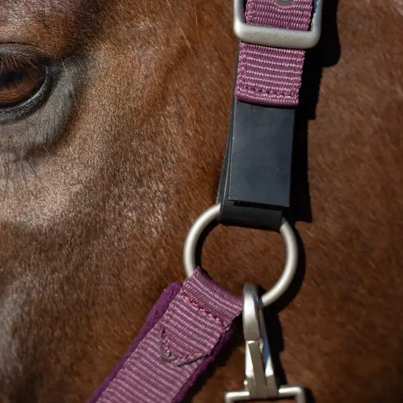 Equinavia Saga Fleece Padded Breakaway Halter 3