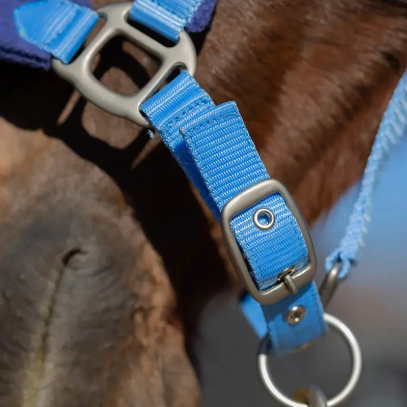 Equinavia Saga Fleece Padded Breakaway Halter 4