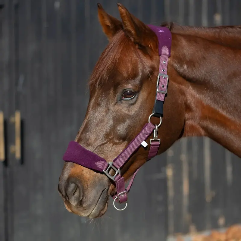 Equinavia Saga Fleece Padded Breakaway Halter 5