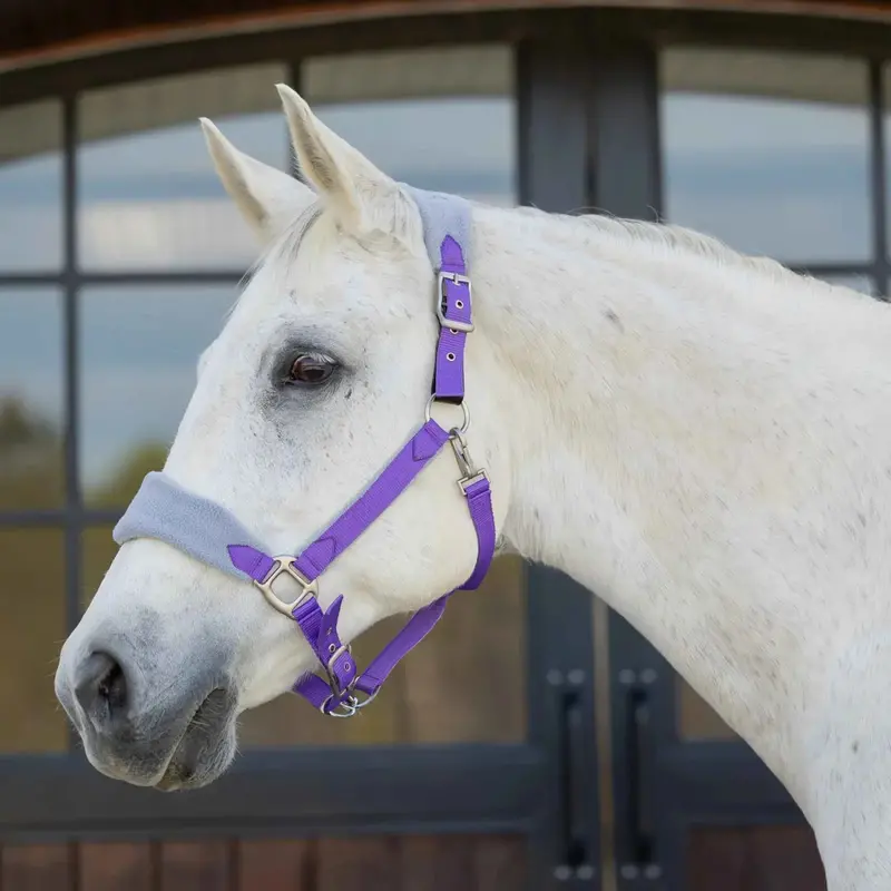 Equinavia Saga Fleece-Padded Breakaway Halter – Premium Fit