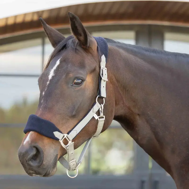 Equinavia Saga Fleece-Padded Breakaway Halter – Premium Fit