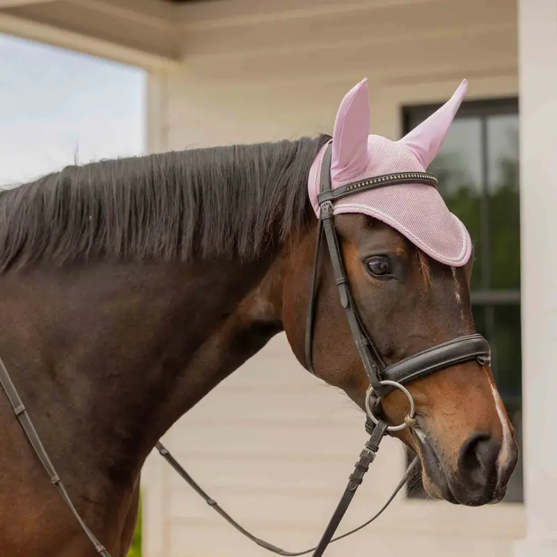 Equinavia Svalbard Ear Bonnet Featuring Nordicair Ventilation Tech