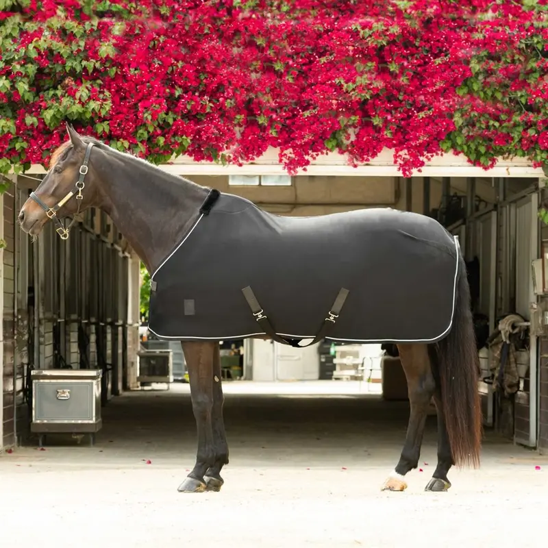 Equinavia Torr Quick Dry Cooler 2
