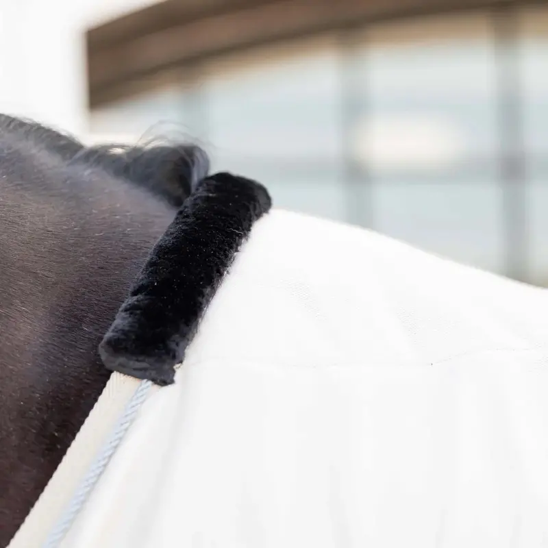 Equinavia Torr Quick Dry Cooler 3