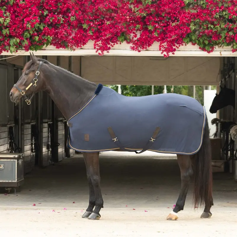 Equinavia Torr Quick-Dry Horse Cooler