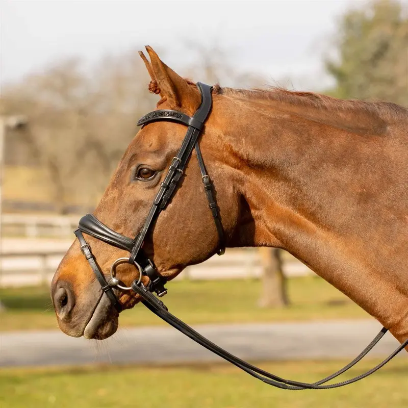 Equinavia Valkyrie Anatomic Dressage Bridle With Rubber Reins 1