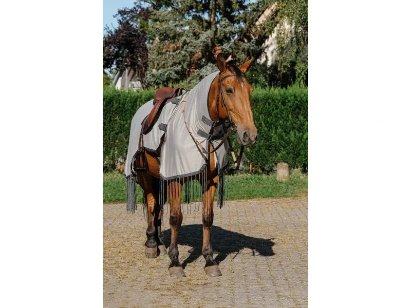 Equithème Mesh Quarter Sheet With Neck 1