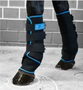 Ers Lami-Cell Pro Therapeutic Ice Boots With Gel Inserts 1