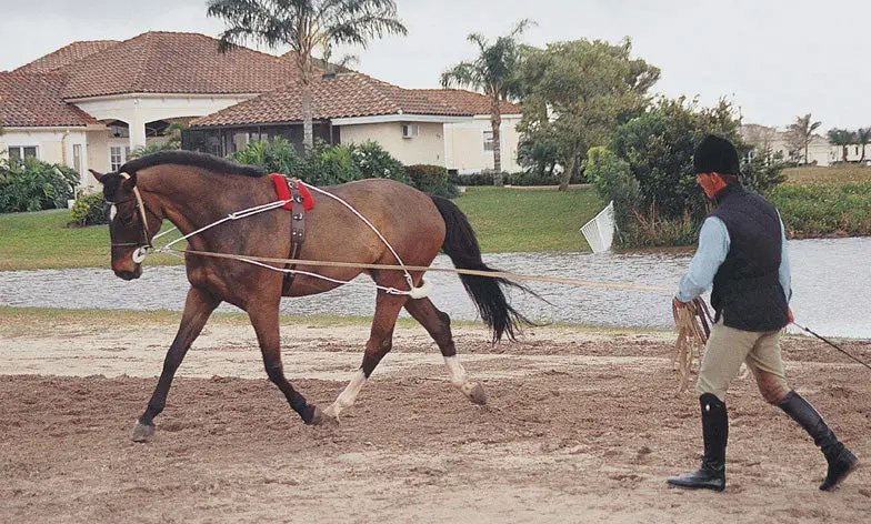 Ers Pessoa Lunging System 1