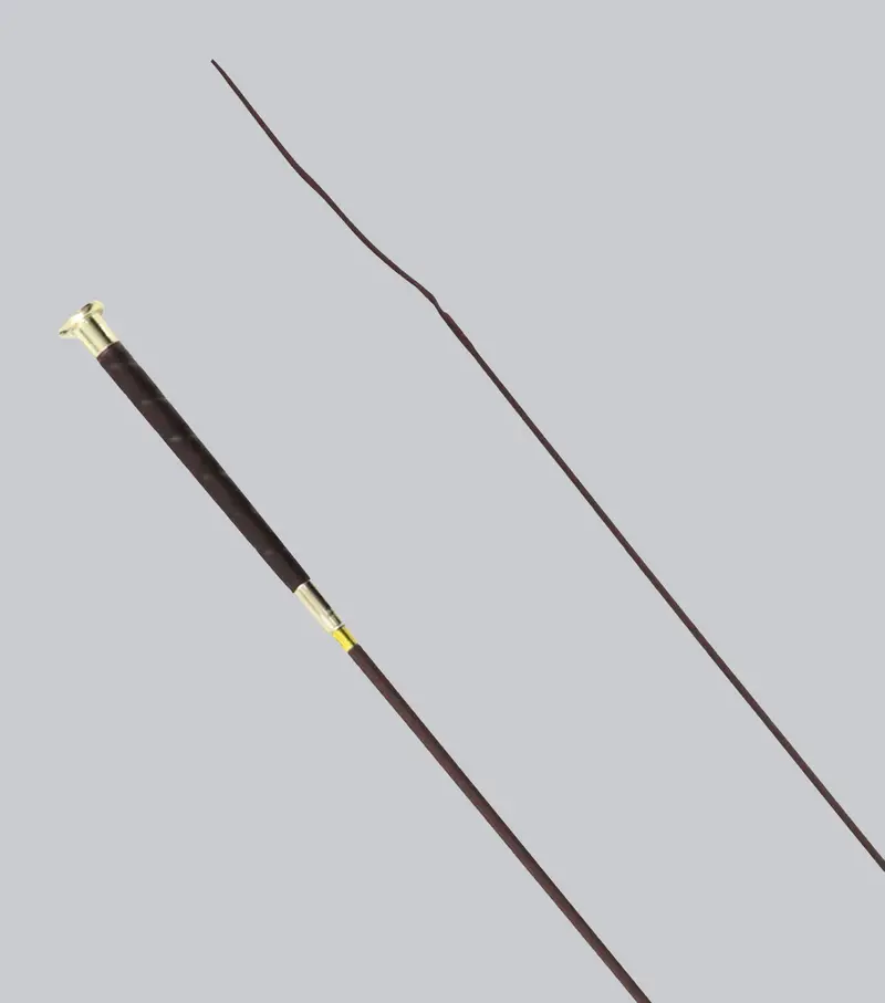 Erula Dressage Whip Brown 120Cm 2