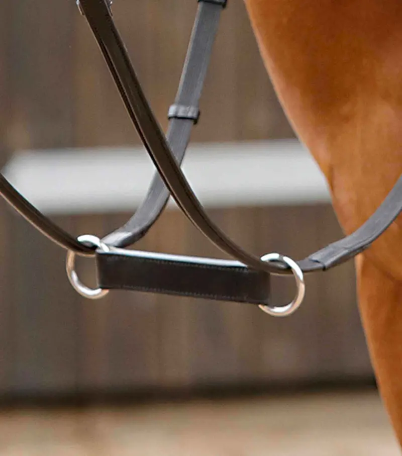 Esperia Irish Martingale Black 1
