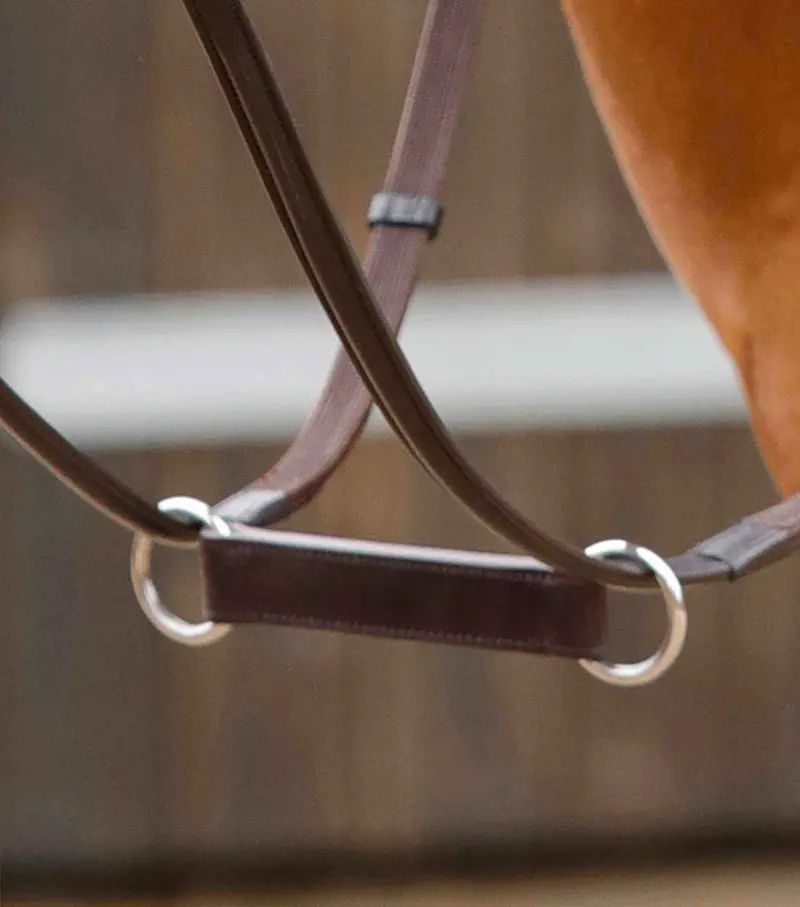 Esperia Irish Martingale Brown 1